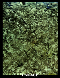 ARTE MULTI DIMENSIONAL DAPACU